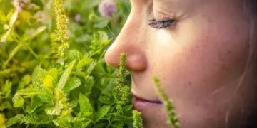 امرأة تستمتع بأعشاب طبيعية لتنظيم الهرمونات